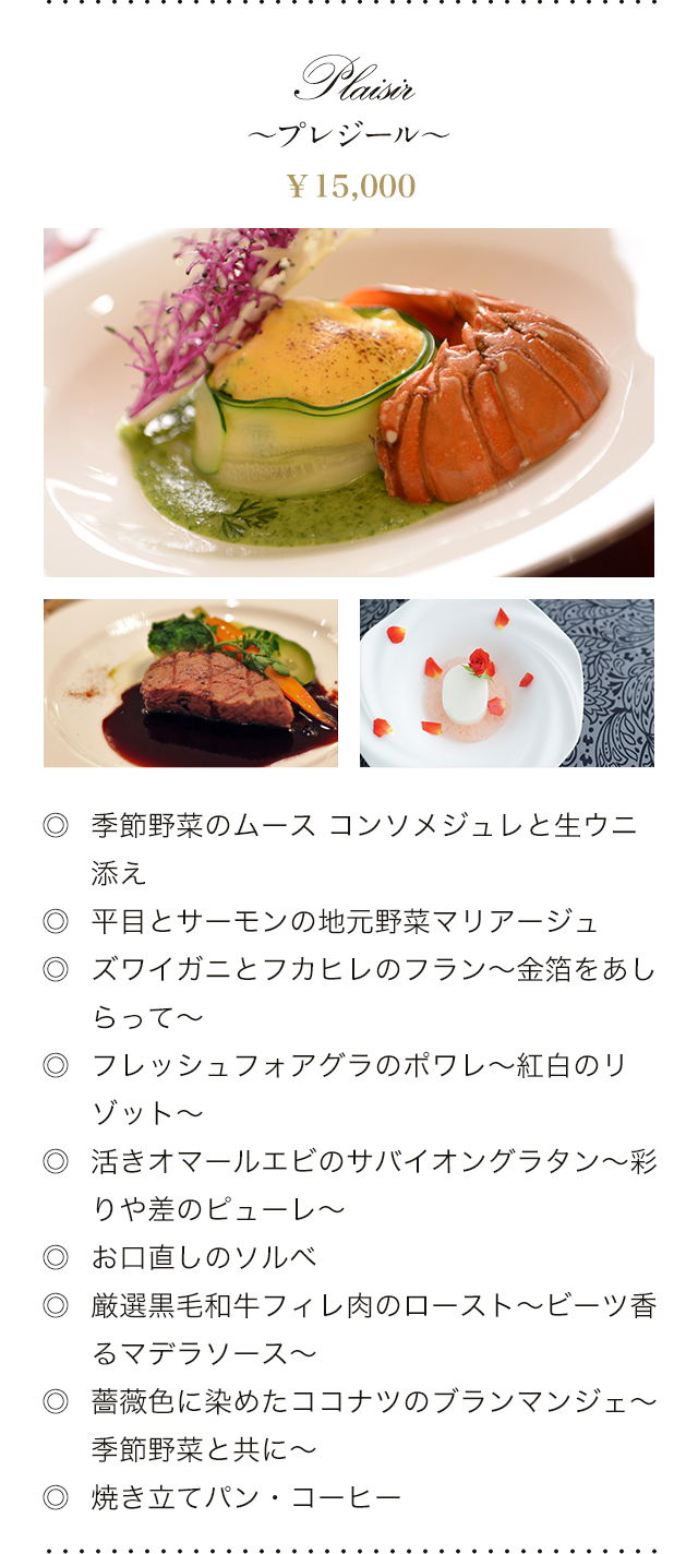 Plaisir～プレジール～